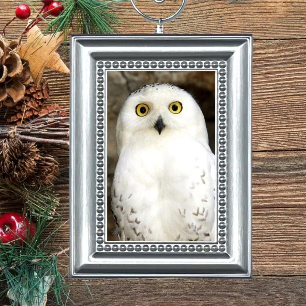 Harry Potter‎ Pet Owl Hedwig Christmas Tree Ornament